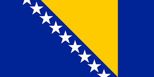 Bosnian Flag